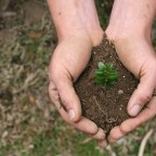 Cultivating Gratitude