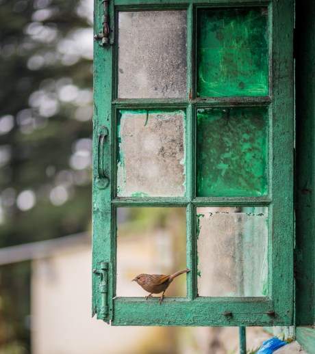 aditya-saxena-386012-unsplash